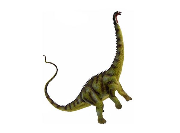 دیپلودوکوس یا دوتیرکی, image