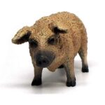 خوک مجارستانی, image 2