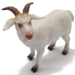 بز نر, image 2