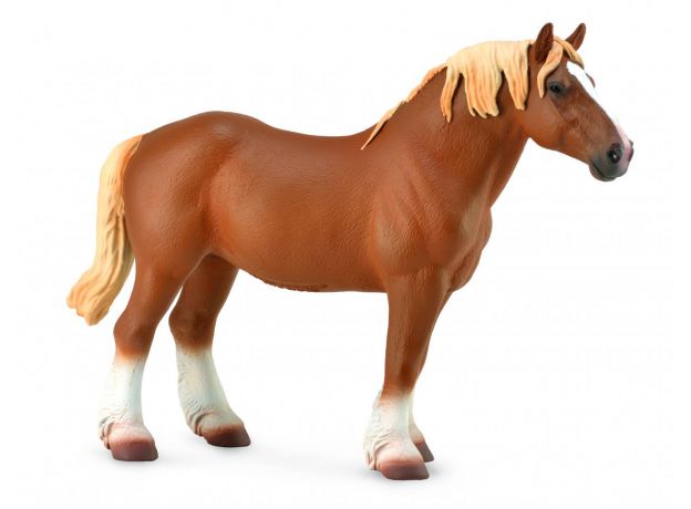 اسب ماده بلژیکی کُرَنگ, image