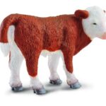 گوساله هرفورد - ایستاده, image