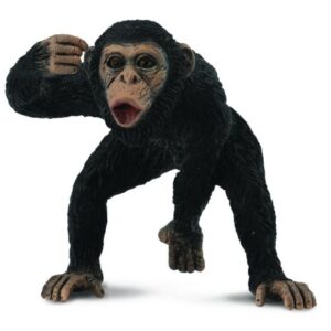 شامپانزه نر