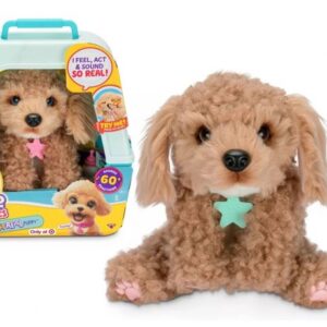 کرلی هاپو کوچولوی Little Live Pets