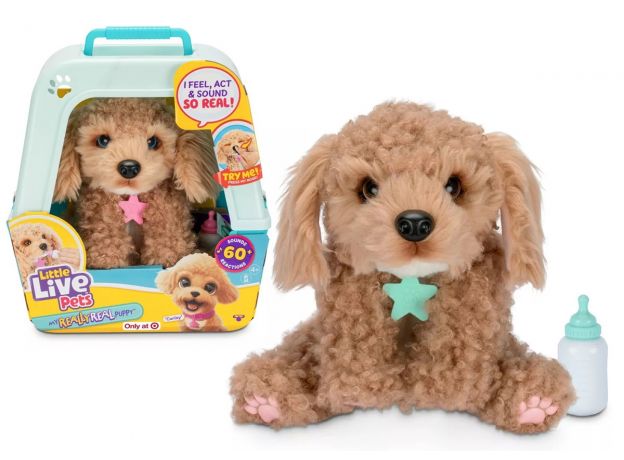 کرلی هاپو کوچولوی Little Live Pets, تنوع: 26612-Curly, image