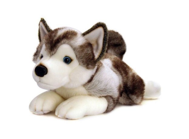 عروسک پولیشی 25 سانتی سگ هاسکی STORM HUSKY, image