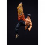 فیگور 15 سانتی فی لانگ سری Street Fighter, تنوع: 253252027-Fei Long, image 2