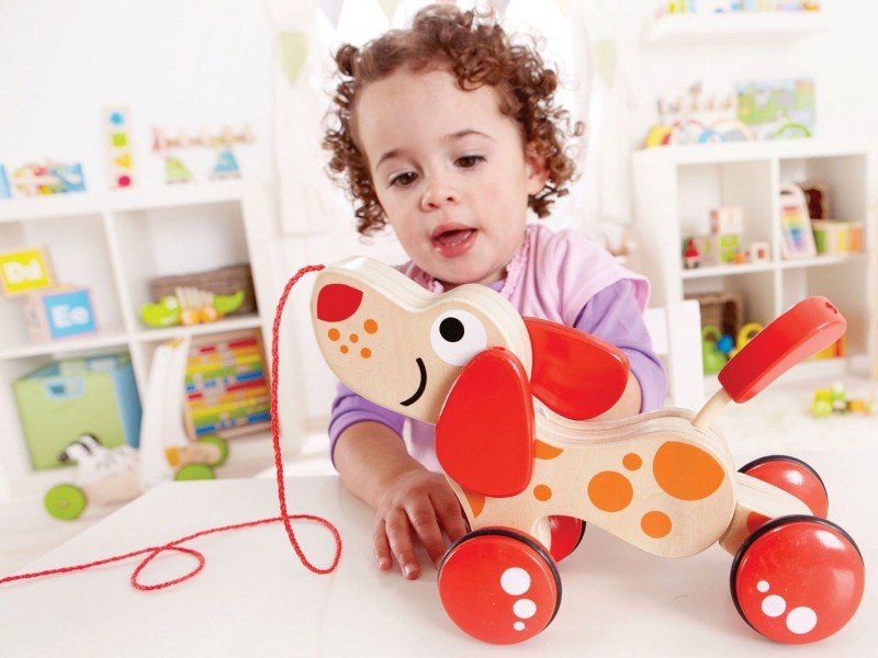 سگ چوبی حرکتی hape کدE0347