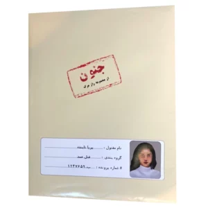 پرونده جنایی - پرونده جنون