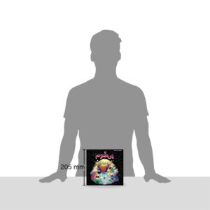 بازی فکری هوپا – مدل پی شوم
