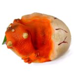فیگور مدل تخم دایناسور - کد 2