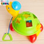 لاک پشت اشکال هندسی 3-مارکاتویز