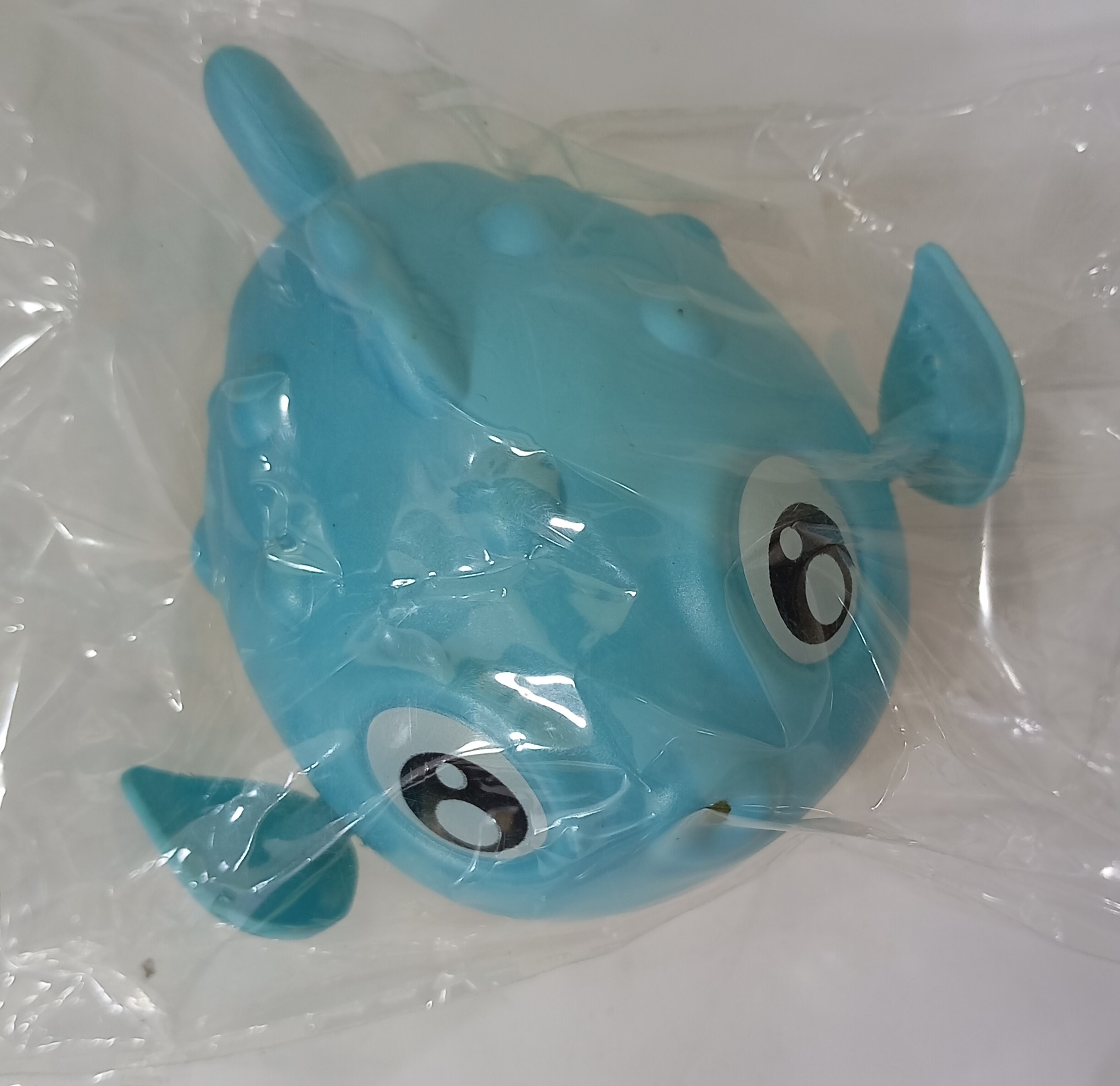 ماهی آبی حمامی ( کوکی )