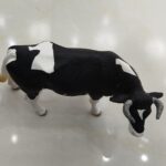 گاو نر هلشتاین3 - مارکاتویز