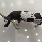 گاو شاخ بلند 2- مارکاتویز