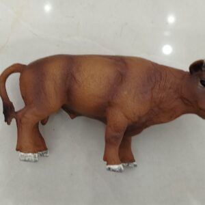 گاو  رقابتی – کد M4107