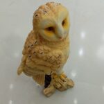 فیگور جغدپایه دار 2-مارکاتویز