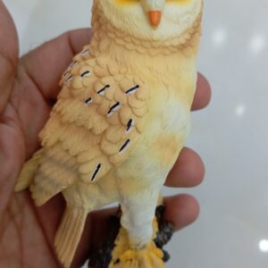 فیگور جغدپایه دار – کد M4328