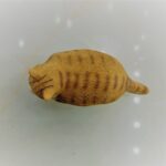 فیگور گربه چاق مو کوتاه 2-مارکاتویز