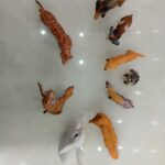 مارکاتویز