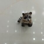 فیگور راکون ایستاده2- مارکاتویز